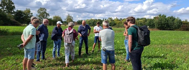 Goede opbrengst kruidenrijk grasland in een droog jaar