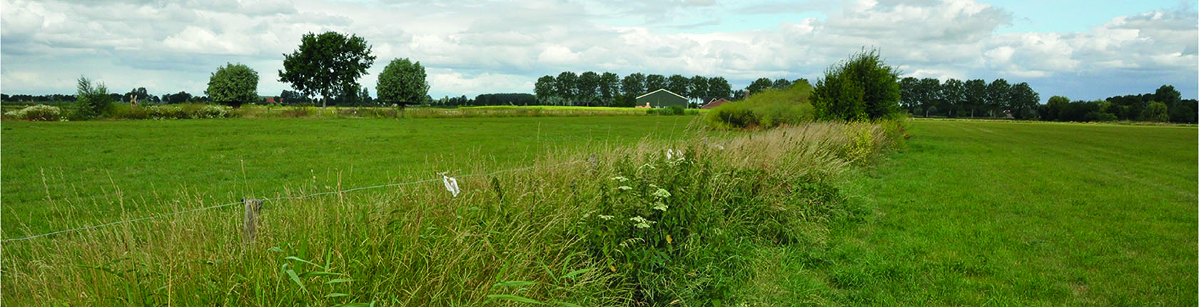 Grip op Biodiversiteit
